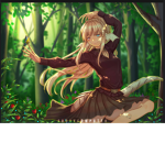 The adventures of wilderness