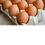 Eggs in a carton