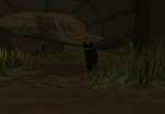 zbasgag's NPC Hunting Group!