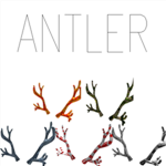 TEH#ANTLER NATION