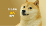 그룹 펀드용 ( jiuty50 )