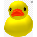 Ducky’s hangout