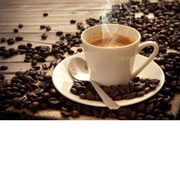 Fun Café (DONATION READ DESC)