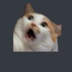 Detailed rp server!
