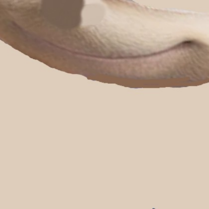 Movie sonic mouth Roblox decal