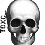 TOXC_