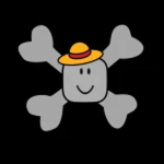 The Noob Hat Pirates