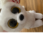 The Chihuahua