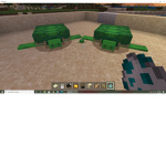 Warrior turtles RP