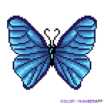 The Butterfly dreamers group