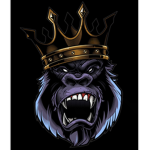 4KT gorillas