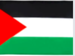 Save Palestine Gaza boo Israel