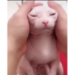 ÄKRÄSłÂ