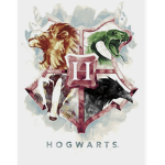 ~Harry Potter for ever ~