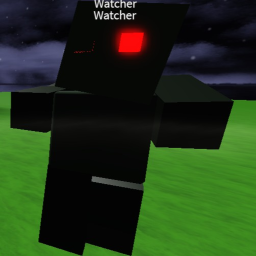 The Watchers