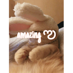 💕 amazing — ᪥