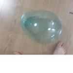 전태교