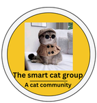 The smart cat group