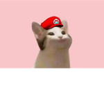 The Epic Pop Cats