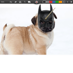 Batman PUG Unicorn Club!!!!!!
