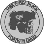 |TFBK| Task Force Black Knight