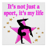 Star Elite Gymnastics