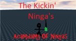Kickin Ninga's Acadamy Of Ningas