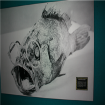 funny fish Roblox decal