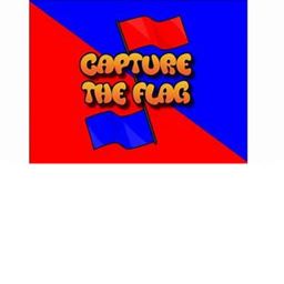 Capture The Flag