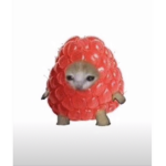 catberry