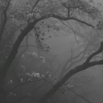 ~sweet seasons~