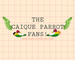 Caique Parrot Fans!