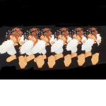 Elite moon dance academy