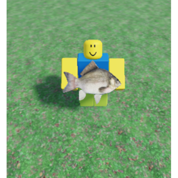 [NEW] Flex your fish size