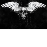SCP:F | [BLACKBIRD]