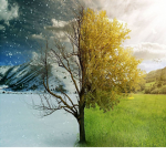 Summer~Winter