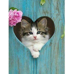 The kittens and cats
