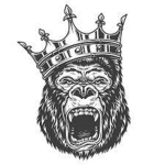 the elite gorilla troop