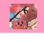 Maxis mochi