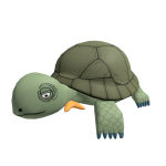 Turtle on a Shoulder