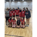 VOLLEYBALL GIRL GROUP