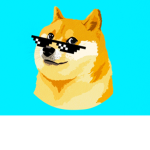 Cool Doge Life