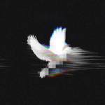 † etheral stars †