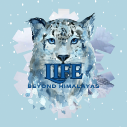 Life Beyond Himalayas (WIP)