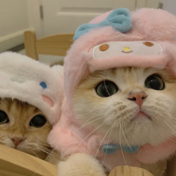 ฅ