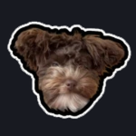 Moosie Games