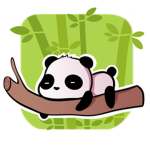 The little pandas bears