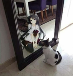 meowzies.