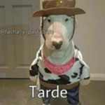 Noob xdddd