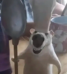 RatManStudios